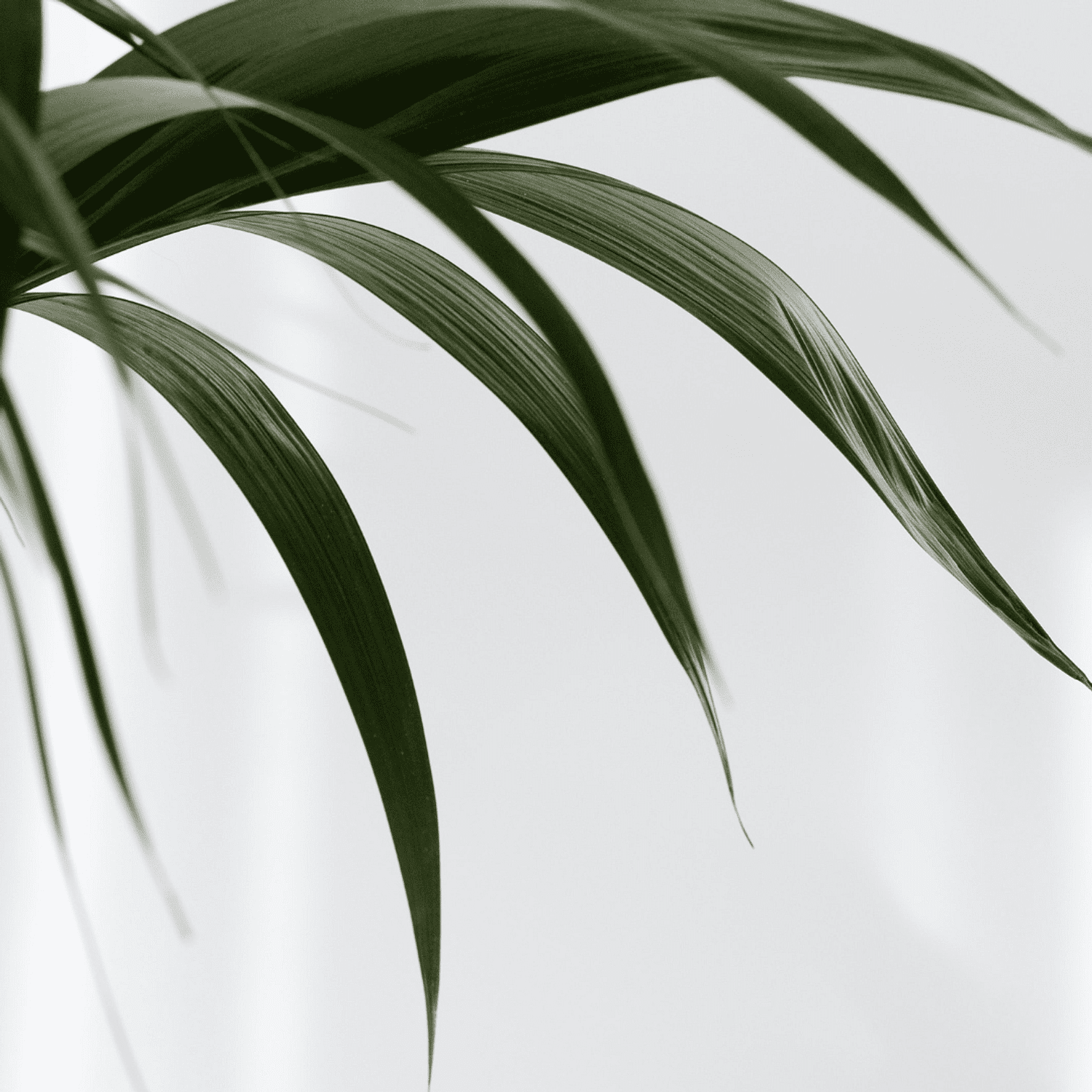 Portrait of Tammi Berg, a professional stylist at Abba Hair & Beauty Salon, showcasing their expertise and style.