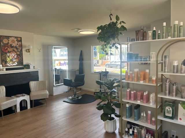 Cozy salon interior with plants, chairs, and shelves of hair products.